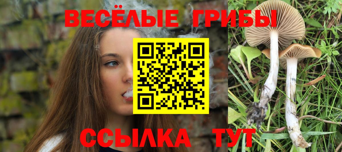 Галлюциногенные грибы Cubensis Мценск