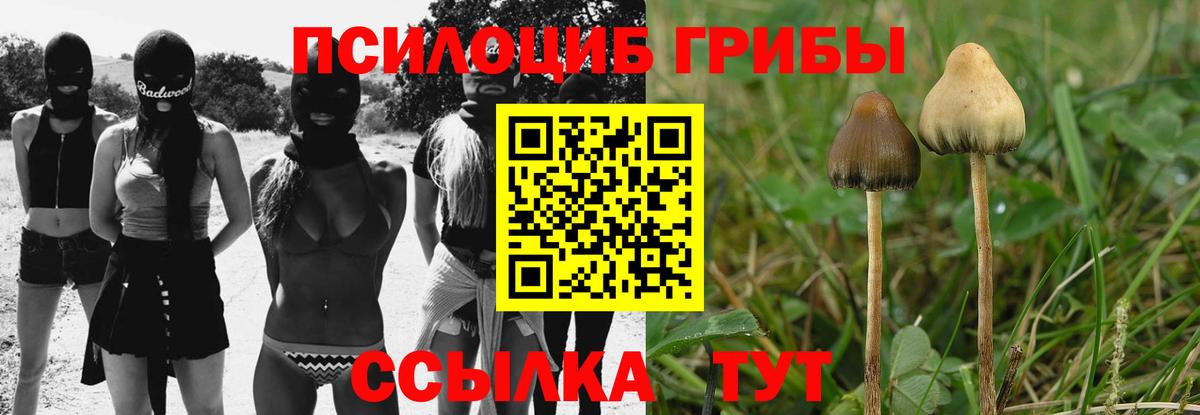 Галлюциногенные грибы мицелий  Вход с VPN  Галлюциногенные грибы Cubensis  Мценск 
